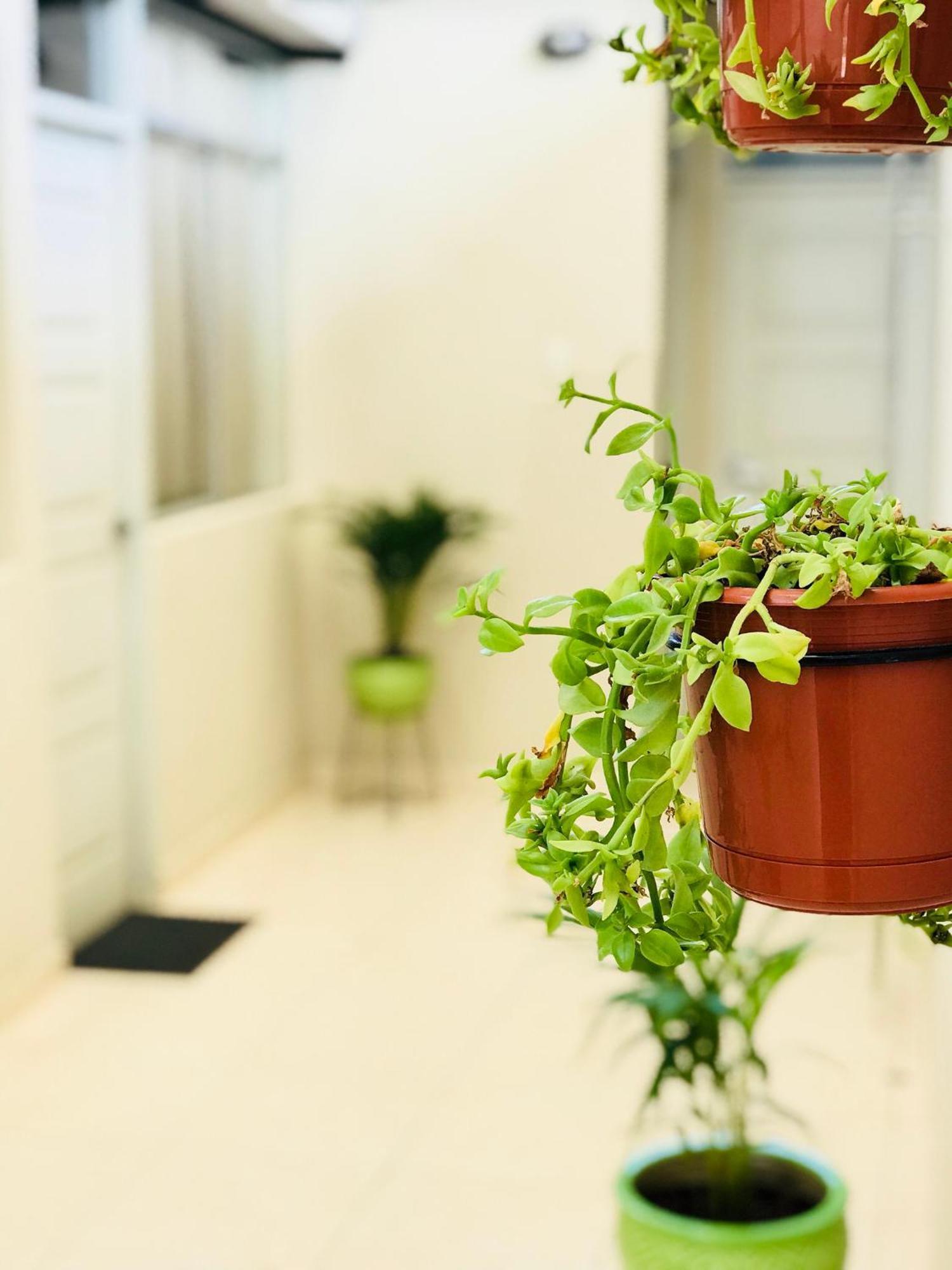 Garden House Piura Apartment Bagian luar foto