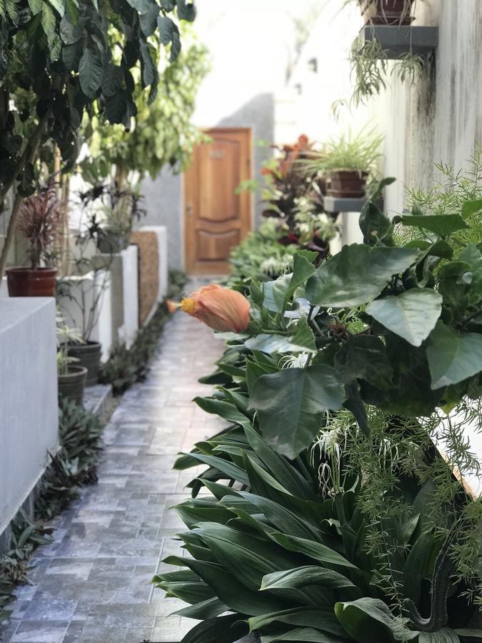 Garden House Piura Apartment Bagian luar foto